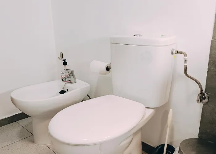 Amplia Y Luminosa En El Centro De