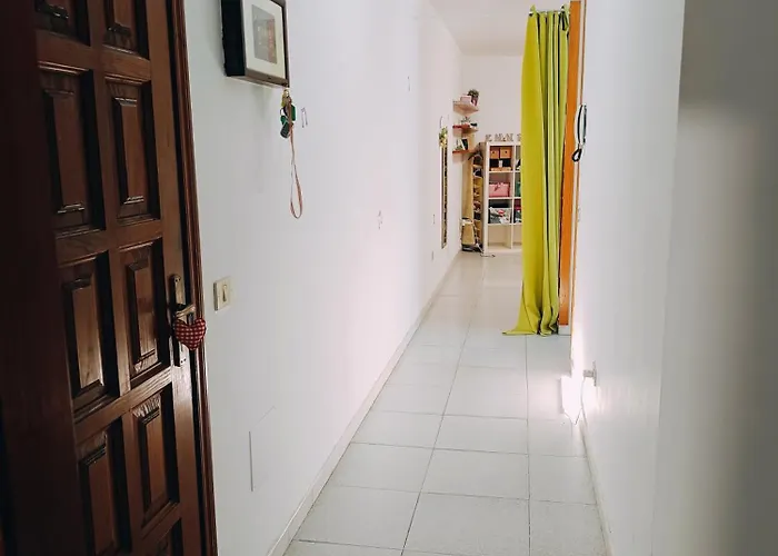 Amplia Y Luminosa En El Centro De La Laguna (Tenerife)